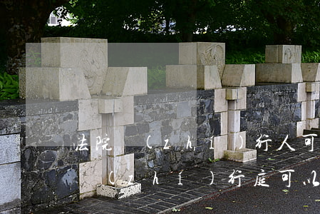 法院執(zhí)行人可以去拘留所探視嗎(執(zhí)行庭可以拘留人嗎)