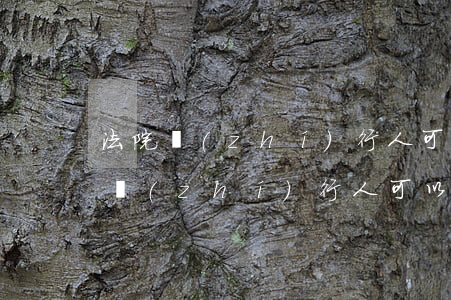 法院執(zhí)行人可以參加社保嗎(法院執(zhí)行人可以參加社保嗎)