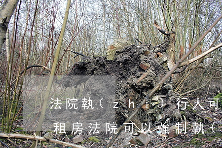 法院執(zhí)行人可以申請廉租房嗎(廉租房法院可以強制執(zhí)行嗎)