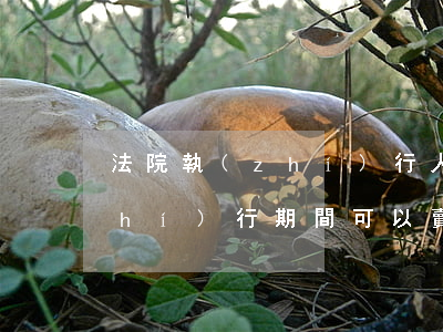 法院執(zhí)行人可以賣房嗎(被執(zhí)行期間可以賣房嗎)