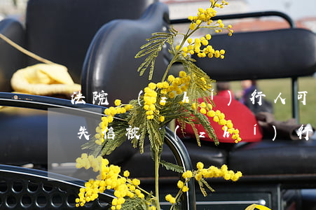 法院執(zhí)行人可以辦港澳通行證嗎(失信被執(zhí)行人可以辦理港澳通行證嗎?)