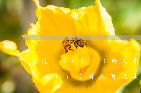 法院執(zhí)行人可以辦銀行卡嗎(被執(zhí)行人可以去銀行辦卡嗎)