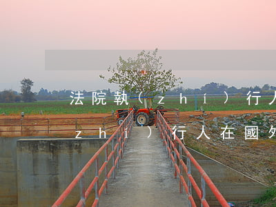 法院執(zhí)行人員可以出國嗎(被執(zhí)行人在國外如何執(zhí)行)