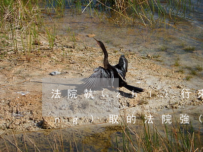 法院執(zhí)行來的錢逾期不領(lǐng)取的(法院強(qiáng)制執(zhí)行期限到期了錢沒要回來怎么辦?)