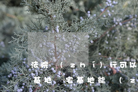 法院執(zhí)行可以執(zhí)行宅基地嗎(宅基地能執(zhí)行嗎 法院)
