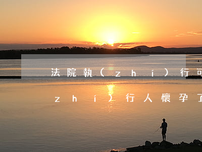 法院執(zhí)行可以拘留孕婦嗎(被執(zhí)行人懷孕了可以拘留嗎)