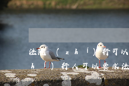 法院執(zhí)行可以拘留礦長嗎(執(zhí)行人可以要求法院拘留被執(zhí)行人嗎)