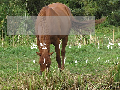 法院執(zhí)行可以查到美團(tuán)錢(qián)包嗎(美團(tuán)錢(qián)包在哪里查看)