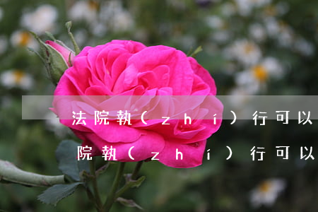法院執(zhí)行可以查到銀行流水嗎(法院執(zhí)行可以查到銀行流水嗎)