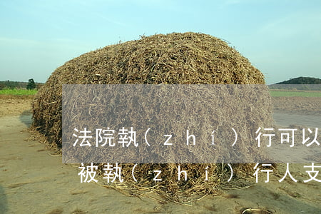 法院執(zhí)行可以查封支付寶嗎(法院被執(zhí)行人支付寶能用么)