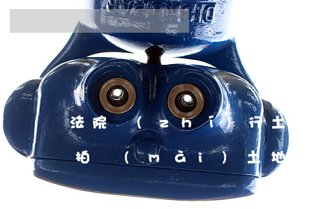 法院執(zhí)行土地證可以分割嗎(法院拍賣(mài)土地分割的規(guī)定)