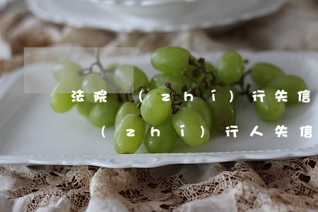 法院執(zhí)行失信名單可以查詢嗎(被執(zhí)行人失信名單查詢系統(tǒng))