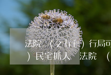 法院執(zhí)行局可以撬鎖進(jìn)民宅抓人嗎(法院強(qiáng)制執(zhí)行抓人流程)