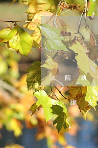 法院執(zhí)行局被拘留可以探視嗎(法院讓去執(zhí)行局會(huì)不會(huì)直接被拘留)