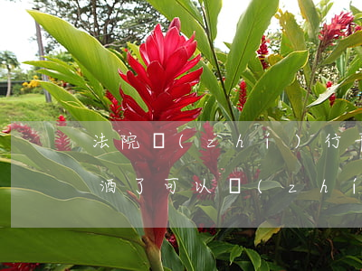 法院執(zhí)行干警可以喝酒嗎(警察喝酒了可以執(zhí)法嗎)