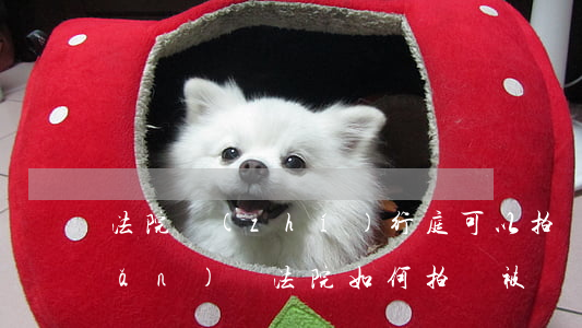 法院執(zhí)行庭可以拍賣房產(chǎn)嗎(法院如何拍賣被執(zhí)行人房產(chǎn))