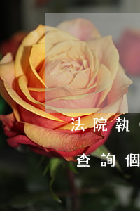 法院執(zhí)行庭可以查詢個人檔案嗎(查詢個人法院被執(zhí)行案件)