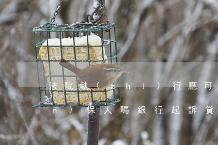 法院執(zhí)行廳可以抓貸款擔(dān)保人嗎(銀行起訴貸款人擔(dān)保人多久會執(zhí)行)