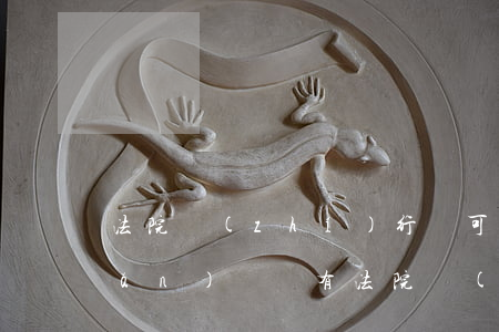 法院執(zhí)行廳可以辦理房產(chǎn)證嗎(有法院執(zhí)行裁定書(shū)可以辦理房產(chǎn)證)