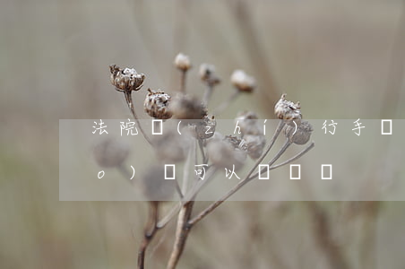 法院執(zhí)行手機(jī)號(hào)碼可以過戶嗎