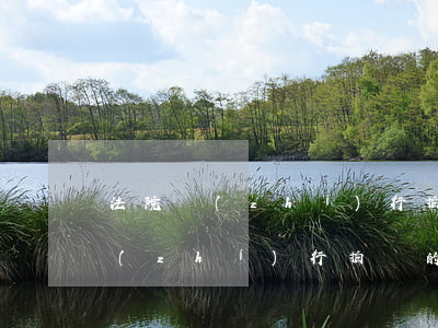 法院執(zhí)行拍賣會算逾期嗎(法院執(zhí)行拍賣的期限)
