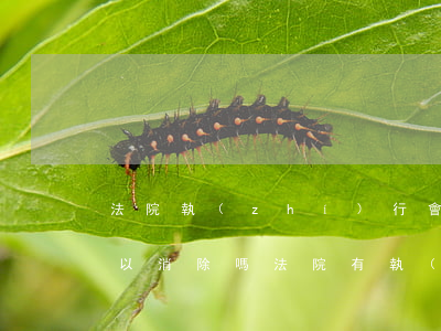 法院執(zhí)行會(huì)上征信可以消除嗎(法院有執(zhí)行記錄會(huì)上征信嗎)