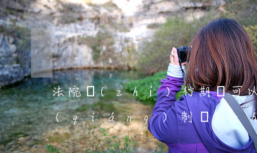 法院執(zhí)行期間可以賣房嗎(法院強(qiáng)制執(zhí)行賣房)