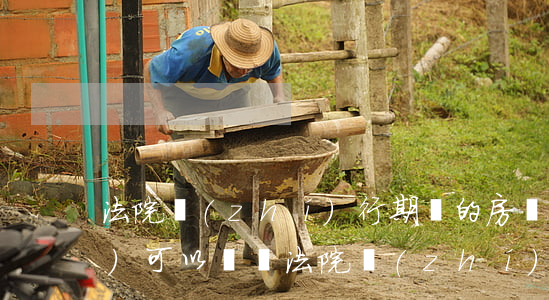 法院執(zhí)行期間的房產(chǎn)可以買嗎(法院執(zhí)行的房子能買不)