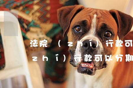 法院執(zhí)行款可以分期嗎(法院執(zhí)行款可以分期嗎)