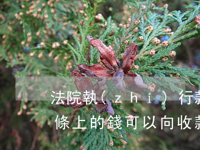 法院執(zhí)行款收條可以自己寫嗎(收條上的錢,可以向收款人起訴嗎)
