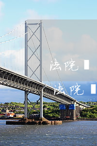 法院執(zhí)行款逾期怎么辦(貸款逾期法院強(qiáng)制執(zhí)行)