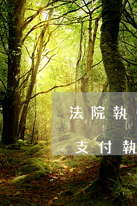 法院執(zhí)行款逾期支付會怎樣(逾期支付執(zhí)行款利息)