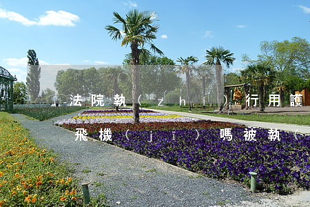 法院執(zhí)行用護(hù)照可以坐飛機(jī)嗎(被執(zhí)行人用護(hù)照可以坐飛機(jī))