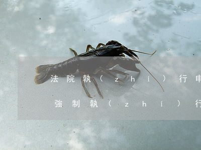 法院執(zhí)行申請書可以手寫嗎(申請強制執(zhí)行書手寫還是打印)