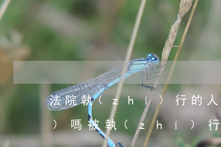 法院執(zhí)行的人可以出國(guó)嗎(被執(zhí)行人出國(guó)了怎么辦)