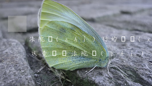 法院執(zhí)行的詳細(xì)信息可以查詢嗎(法院執(zhí)行的詳細(xì)信息可以查詢嗎)