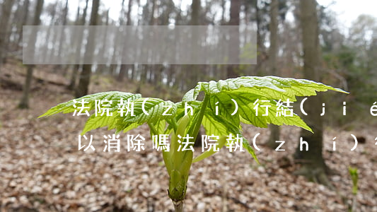 法院執(zhí)行結(jié)案記錄可以消除嗎(法院執(zhí)行完畢了怎么撤銷記錄)