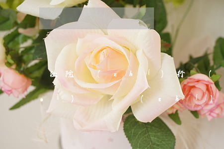 法院執(zhí)行經(jīng)濟(jì)糾紛時(shí)可以調(diào)解嗎(法院強(qiáng)制執(zhí)行的案件還能進(jìn)行調(diào)解嗎)