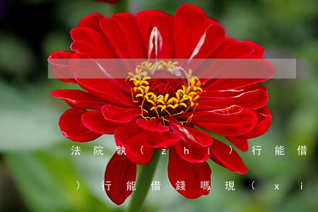 法院執(zhí)行能借錢(法院執(zhí)行能借錢嗎現(xiàn)在)