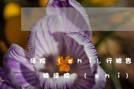 法院執(zhí)行被告可以貸款還原告錢嗎(被法院執(zhí)行了,直接去法院還錢可以嗎)