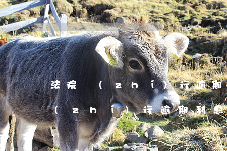 法院執(zhí)行逾期利息是多少(法院執(zhí)行逾期利息是多少)