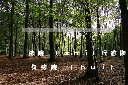 法院執(zhí)行逾期扣款要多久(逾期多久法院會(huì)強(qiáng)制執(zhí)行)