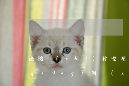 法院執(zhí)行逾期未果咋辦(法院強(qiáng)制執(zhí)行三年未果)