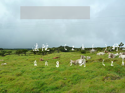 法院執(zhí)行逾期還款(法院強(qiáng)制執(zhí)行還款)