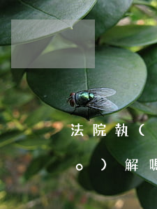 法院執(zhí)行過程中可以調(diào)解嗎(被告被強制執(zhí)行還能調(diào)解嗎)