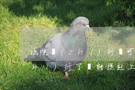 法院執(zhí)行還可以上訴嗎(被執(zhí)行了還能提起上訴嗎)