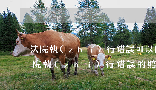 法院執(zhí)行錯誤可以國家賠償嗎(法院執(zhí)行錯誤的賠償標(biāo)準(zhǔn))