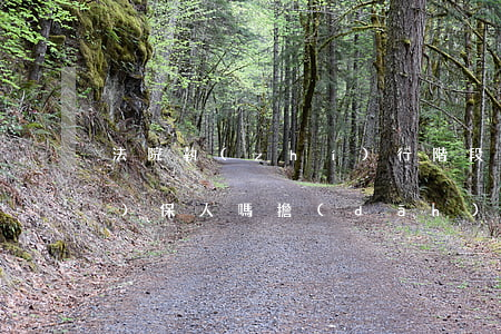 法院執(zhí)行階段可以換擔(dān)保人嗎(擔(dān)保期間能換擔(dān)保人嗎?)