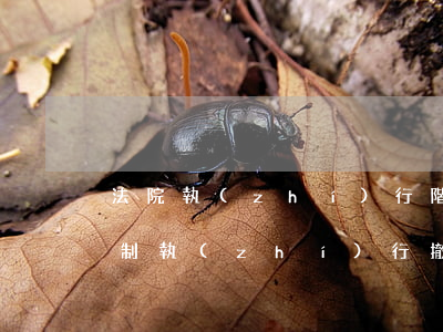 法院執(zhí)行階段可以撤訴嗎(法院強制執(zhí)行撤訴還可以上訴嗎以后)