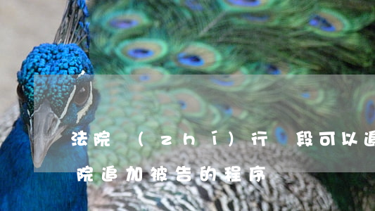 法院執(zhí)行階段可以追加被告嗎(法院追加被告的程序)